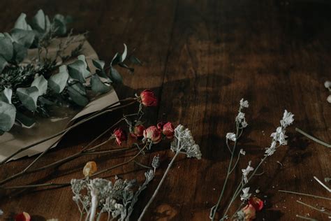 The Language of Flowers :: DIY Love Spell Bouquet — the Lovely Wild