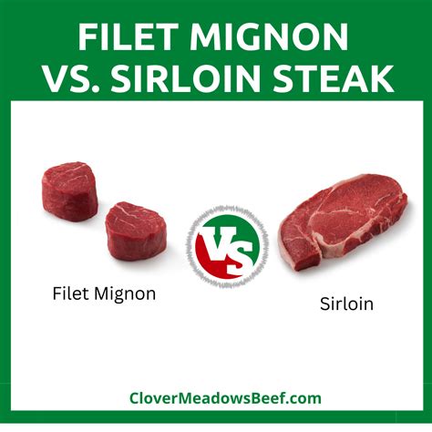 Filet Mignon vs. Sirloin Steak: Top Steak Cuts Guide - Clover Meadows Beef