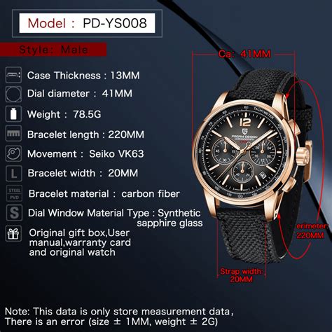 Pagani Design | Luxury | Waterproof | Movement (SeikoVK63) | Stainless ...