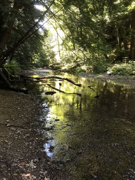 Old Man's Cave and Ash Cave via Buckeye Trail - Ohio | AllTrails