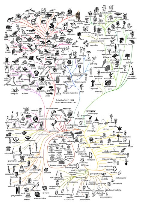 Tree of Life Evolution 的图像结果