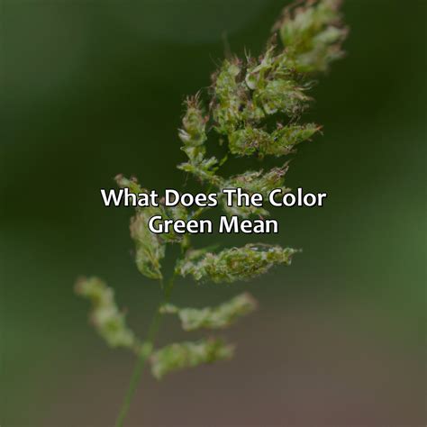 What Does The Color Green Mean In Literature - colorscombo.com