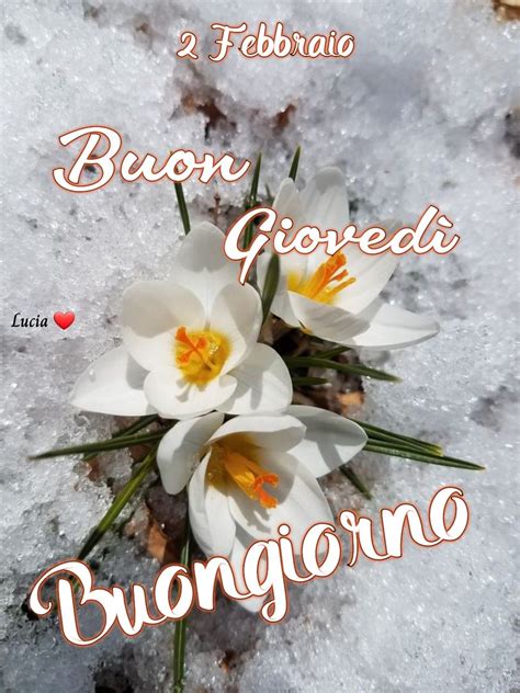 Pin di Lucia Corda su Buongiorno | Buongiorno immagini, Buongiorno ...