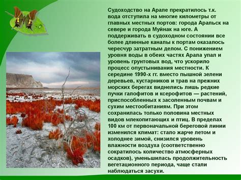Аральское море и причины его гибели. Проблемы экологии - online ...