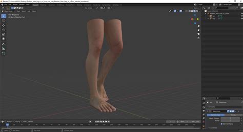 3D Realistic Man Legs in a Pose model | 3D Molier International