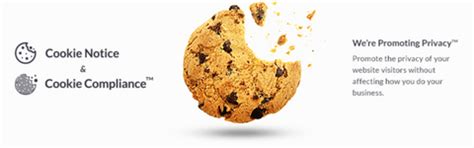 7 GDPR Cookie Consent Plugin to Track User Performance