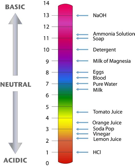 Image result for pH Scale Chart Printable