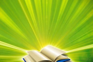 Scripture Loop 的图像结果