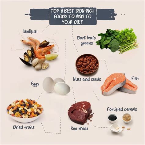 Top 10 Foods High In Iron: Foods With High Iron Content – ZATE