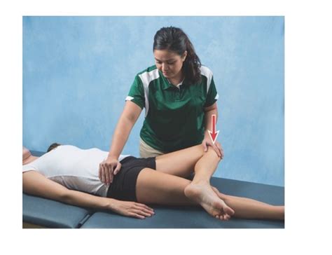 Lower Extremity Exam 的图像结果