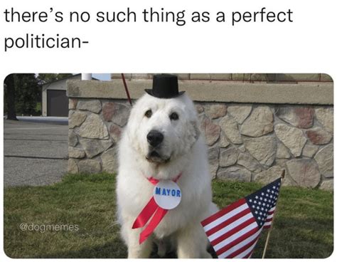 A Perfect Politician Is Morally Right Quote 的图像结果