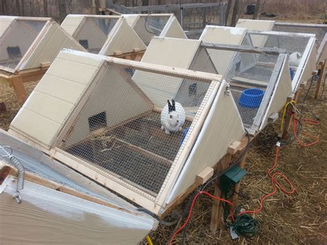 How To Build A Rabbit Nest - How To Build Rabbit Nesting Box? (5 Steps ...