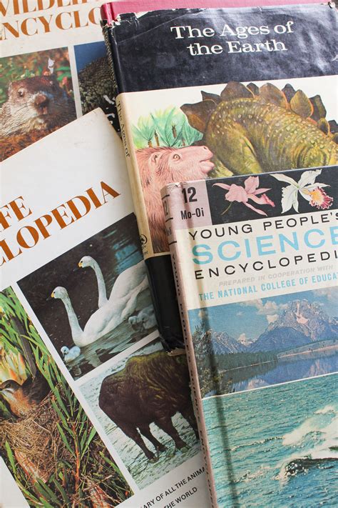 Examples of Collage 的图像结果