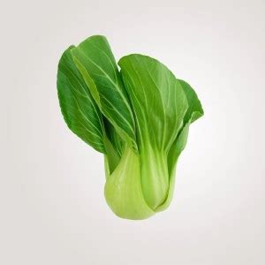 Atlus Pak Choi- salad Vegetable Seed Seed Price in India - Buy Atlus ...