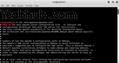 Linux System Reconnaissance [Top Linux Commands] - Yeah Hub