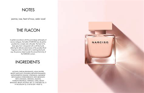 Narciso Rodriguez Narciso Poudrée Eau de Parfum for Women – Perfume ...
