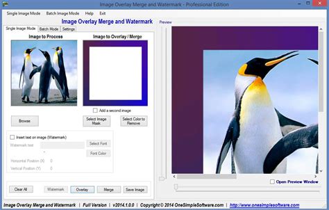Image result for Software Tutorial Screen Shot