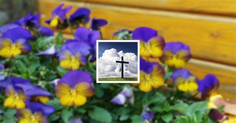 Obituary | Patricia "Patty" Miller of Point Pleasant, West Virginia ...