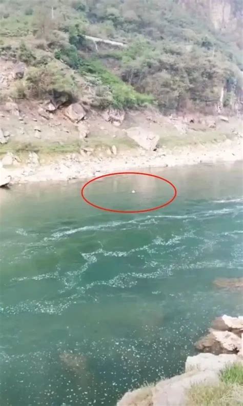 “两名教师在河道溺亡”，贵州织金通报_腾讯新闻