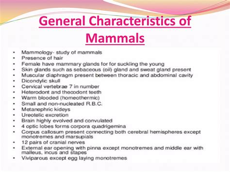 Characteristics Of Mammals