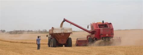 Commercial Grain Farming: A Complete Guide (2025)
