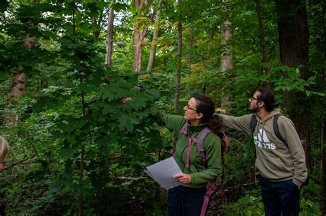Randonnées interculturelles et arbres ?Intercultural Tree Walks ...