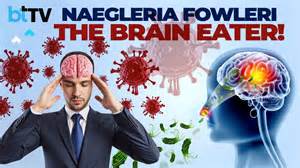 Naegleria Fowleri: The Amoeba That Eats Your Brain | 18 Fatal Cases In ...
