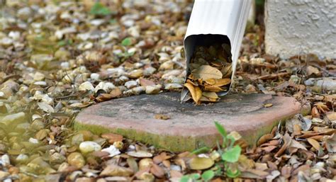 Best Ways to Clean Gutters from the Ground | LHG