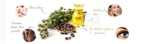 Buy WishCare® Premium Cold Pressed Castor Oil - Pure & Virgin Grade ...