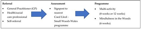 Social Return on Investment of Nature-Based Activities for Adults with ...