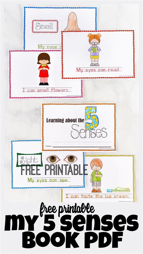My five senses story book free printable pdf – Artofit