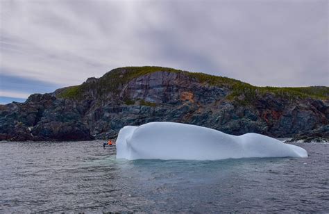 How To Find Icebergs and Other Natural Wonders in Newfoundland - Travel Bliss Now