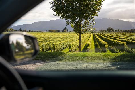 Classic New Zealand Wine Trail | Downunder Travel