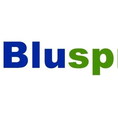 Bluspring Lists on NSE and BSE After Strategic Demerger