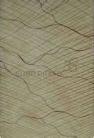 Europratik 10405 Lucento Series Patterned Decorative Wall Panel/Panels ...