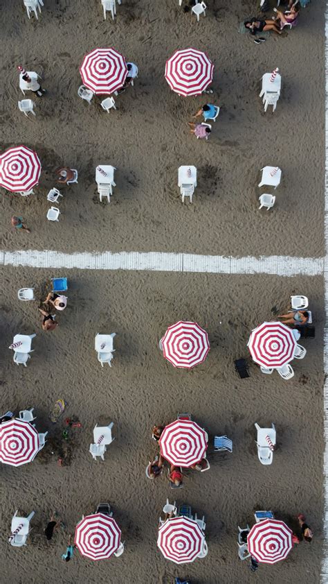 Ebony+Back+Shots Photos, Download The BEST Free Ebony+Back+Shots Stock Photos & HD Images