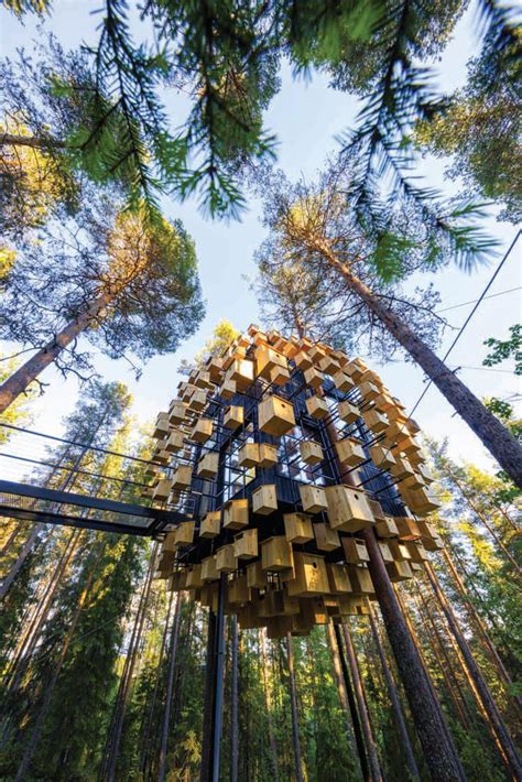 TWEETING TREE | Architect and Interiors India - architecture - Read ...