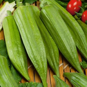 DIOART ™F1 HYBRID OKRA SEEDS-753 Seed Price in India - Buy DIOART ™F1 ...