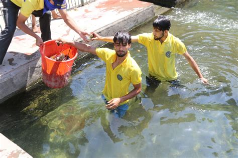Two Weeks Cleanliness Campaign-16.09.2017 -[Photo Gallery] | GDC Anantnag