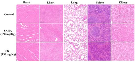 Molecules | An Open Access Journal from MDPI
