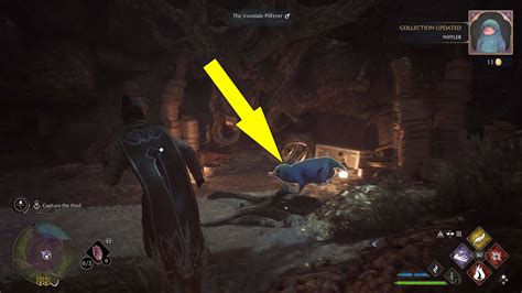 Thief In Night Heirloom Location Guide - Hogwarts Legacy