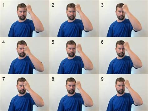 Europe in Sign Language 的图像结果