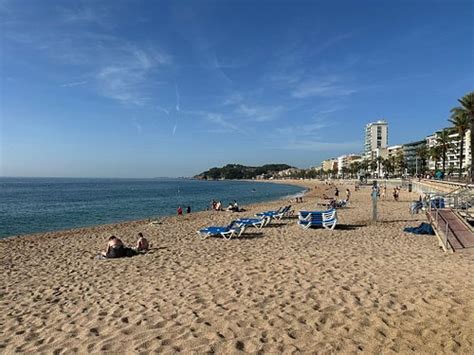 BLUESEA MONTEVISTA HAWAI (Lloret de Mar, Costa Brava) - Hotel Reviews ...
