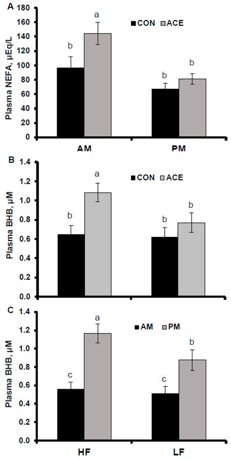 Interaction Between Ruminal Acetate Infusion and Diet Fermentability on ...