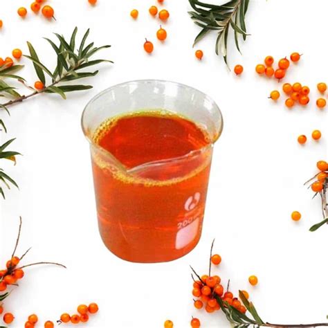 Seabuckthorn India, Jaipur - Manufacturer of Healthy Fruit Juices And ...