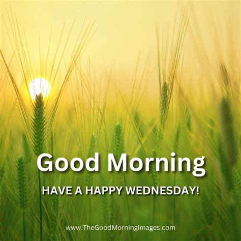 Wednesday Morning Images