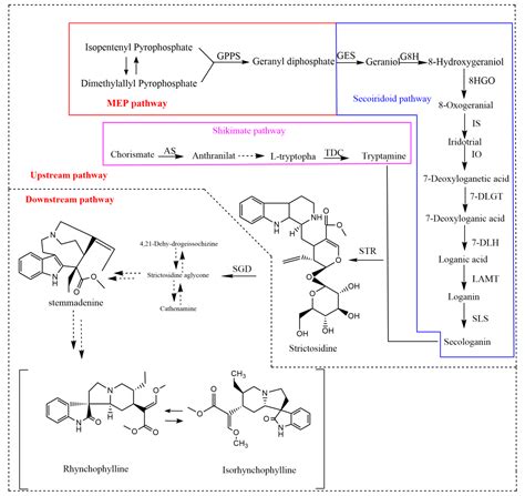Genome-Wide Identification and Expression Analysis of the U-Box E3 ...