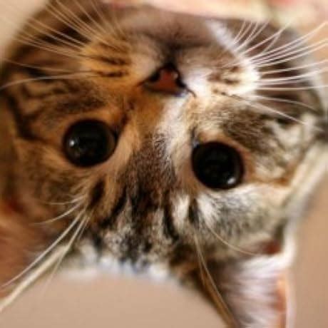 Buy Foolproof Hiring: Powerful, Proven Keys to Hiring High Performers ...