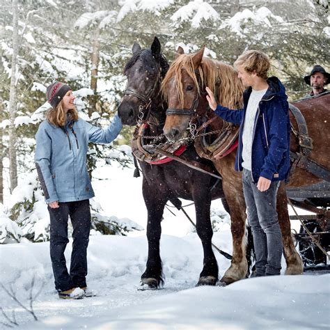 Horse-drawn sleigh rides | Infrastructure in Saalbach