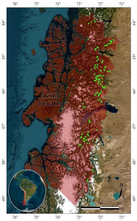 Understory Forage Quality for Grazing Animals in Chilean Patagonian Forests